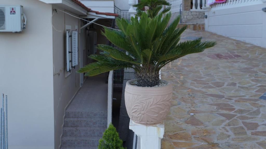 Corali Beach Tsilivi  Exterior foto